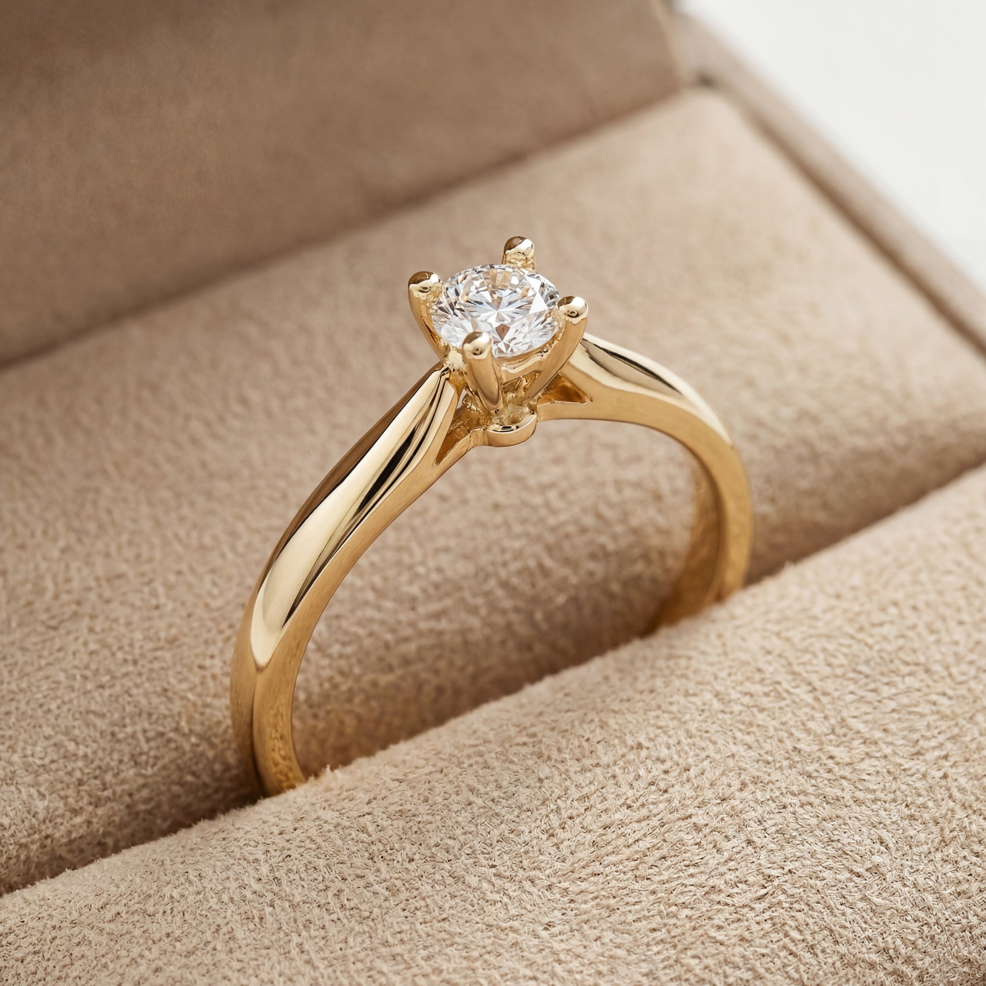 Anillos
